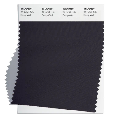 PANTONE  19-3713tcx